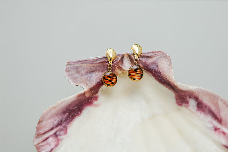 Petite Shell Earrings in a pink clam shell on a white background.