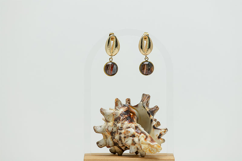 A pair of Gold Cowrie Shell Posts on a white background with a shell at the bottom of the image. 