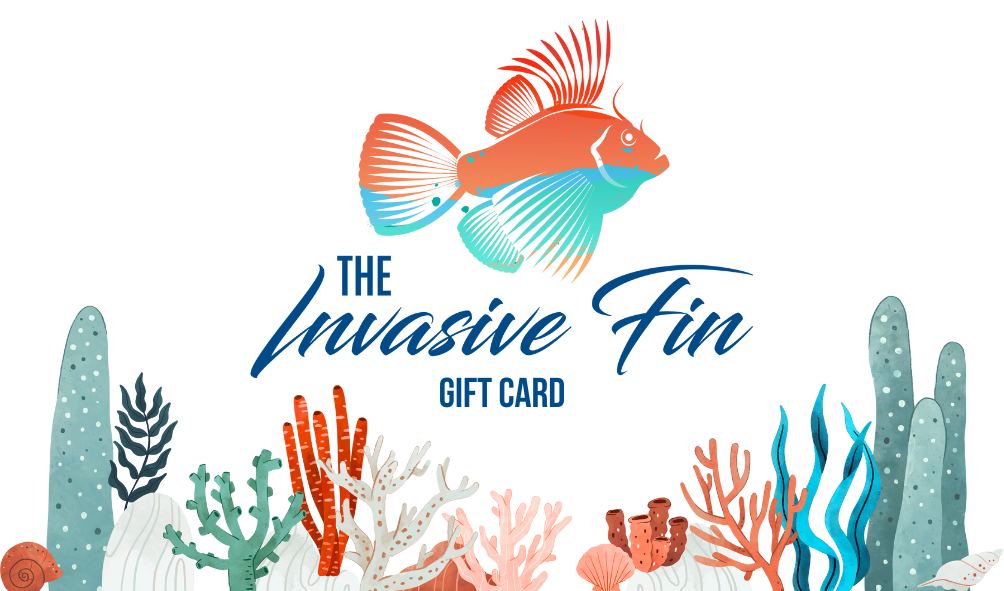 Gift card design with colorful fish and coral on a white background.