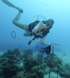 A woman scuba diver exploring underwater coral reef giving the cool sign.