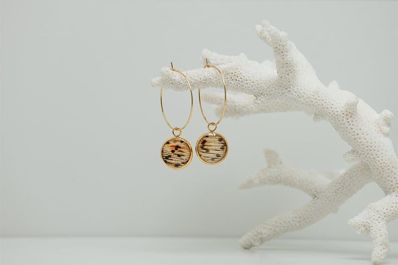 Gold Hoops on white coral on a white background.